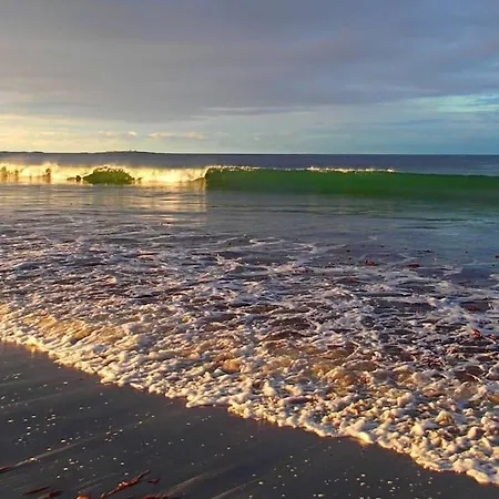 Front Appartments In Design Eco-villa 公寓 *