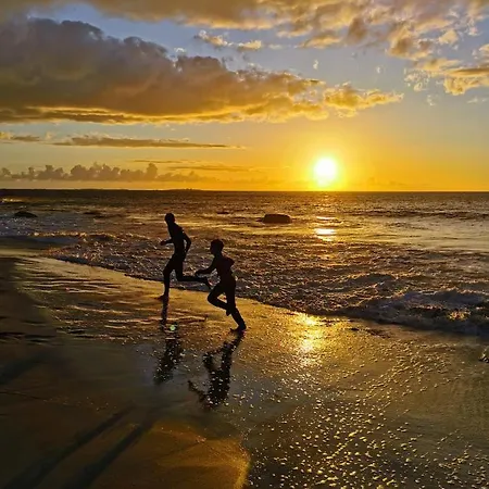 شقة Front Appartments In Design Eco-villa *