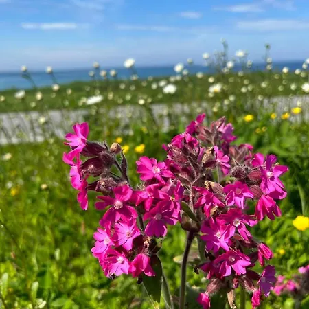 Front Appartments In Design Eco-villa شقة