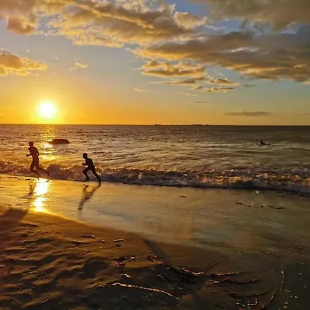 公寓 Front Appartments In Design Eco-villa *