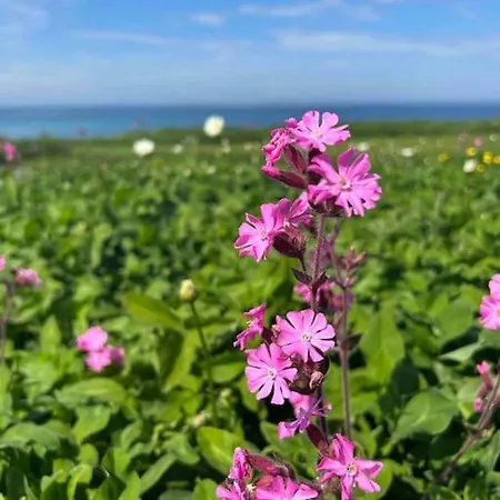 شقة Front Appartments In Design Eco-villa أولستينفيك