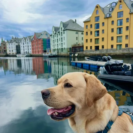 Front Appartments In Design Eco-villa 公寓 于尔斯泰因维克