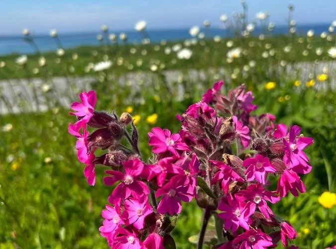 Front Appartments In Design Eco-villa Lägenhet