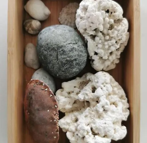 Front Appartments In Design Eco-villa * Ulsteinvik